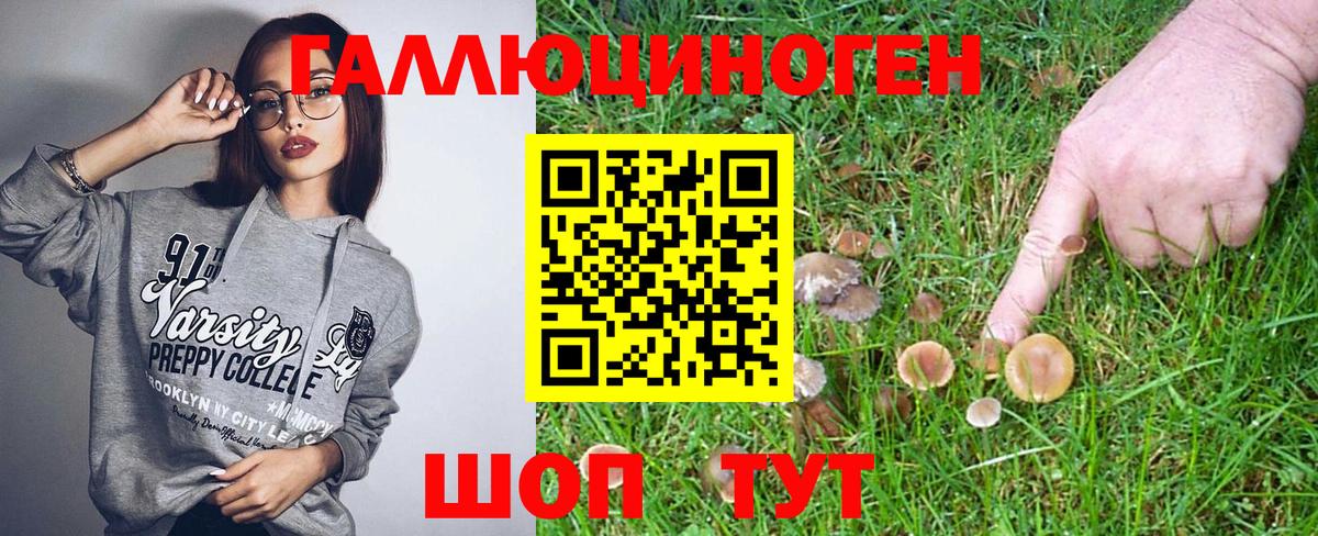 Лесной  Галлюциногенные грибы MAGIC MUSHROOMS  Вход с VPN 