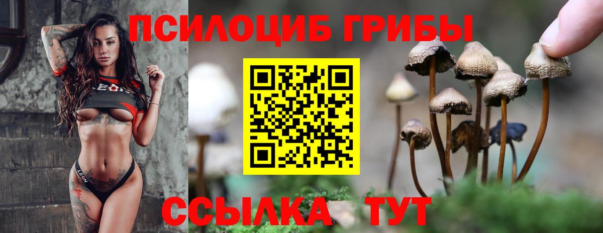 Псилоцибиновые грибы мицелий Лесной